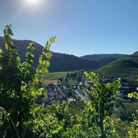 Wildeahr - Urlaub Beim Winzer! *