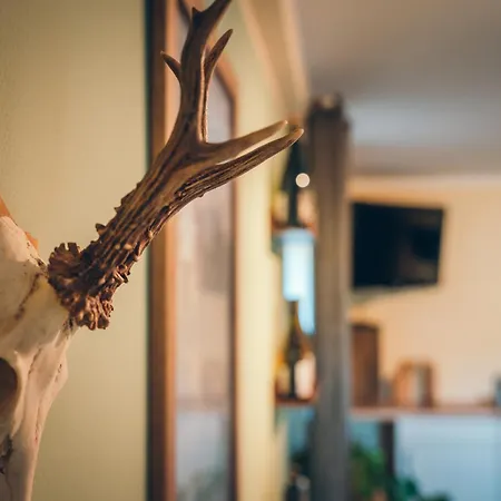 Wildeahr - Urlaub Beim Winzer! * Rech