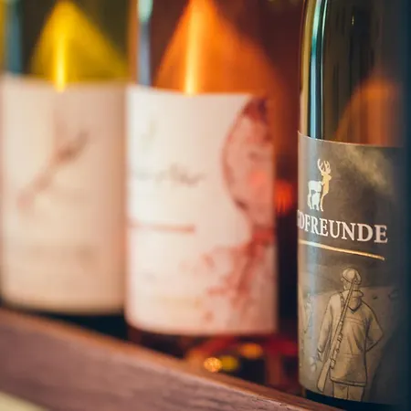 Apartamento Wildeahr - Urlaub Beim Winzer!