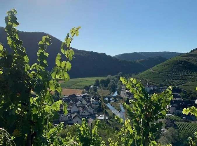 Wildeahr - Urlaub Beim Winzer! *