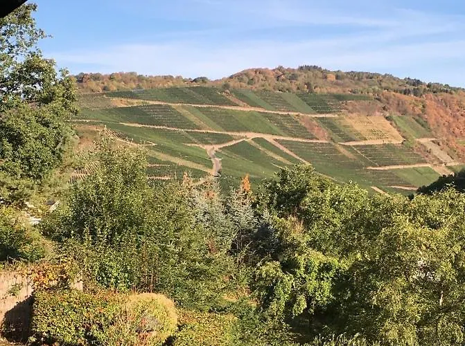 Wildeahr - Urlaub Beim Winzer! Apartament